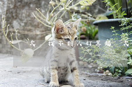 欠錢找不到人打算起訴（欠錢找不到人打算起訴）