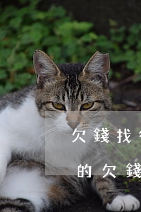 欠錢找律師打官司費(fèi)用是怎么收的（欠錢起訴律師怎么找）