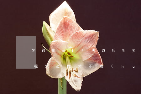 欠錢拘留15天以后呢(欠錢拘留15天以后呢,怎么做才不會(huì)二次拘留)