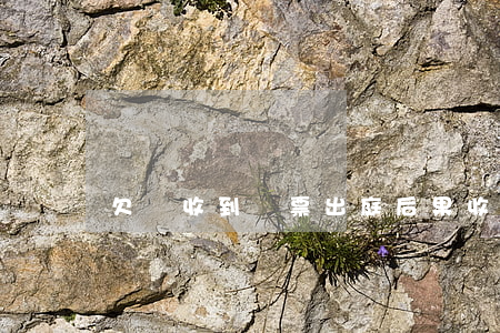 欠錢收到傳票出庭后果(收到法院傳票會有記錄嗎)