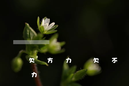 欠錢方無力償還（欠賬不還確認(rèn)無力償還）