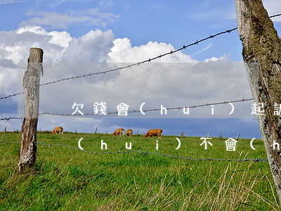 欠錢會(huì)起訴其他人嗎(欠錢起訴會(huì)不會(huì)坐牢)