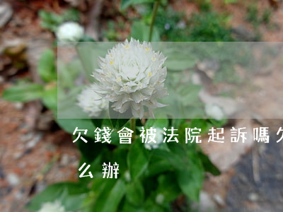 欠錢會被法院起訴嗎(欠錢會被法院起訴嗎怎么辦)