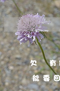 欠錢有借條起訴有用(有借條的錢向法院起訴能要回來要多少時間)