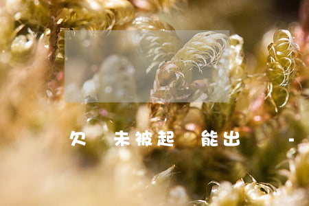 欠錢未被起訴能出國嗎-欠錢未被起訴能出國嗎