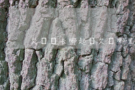欠錢條去哪起訴 欠條哪里起訴