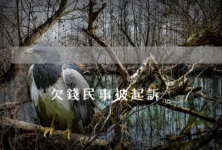 欠錢民事被起訴
