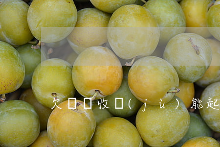 欠錢沒收據(jù)能起訴嗎