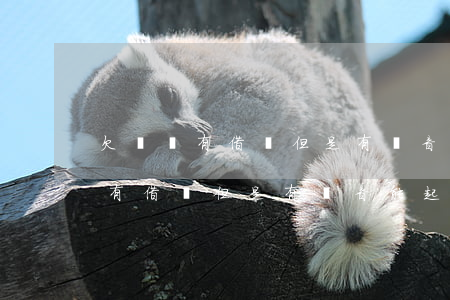 欠錢沒有借條但是有錄音能起訴嗎-欠錢沒有借條但是有錄音能起訴嗎有效嗎
