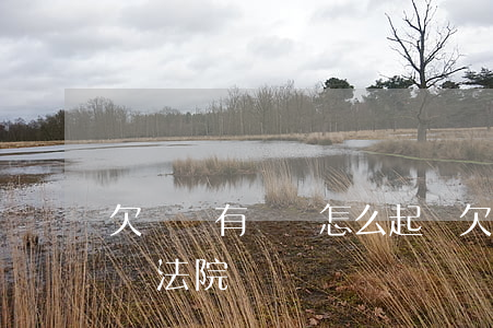 欠錢沒有償還怎么起訴(欠錢沒有償還怎么起訴法院)