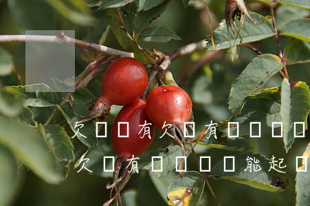 欠錢沒有欠條有轉賬記錄能起訴嗎(欠錢沒有欠條有轉賬記錄能起訴嗎)