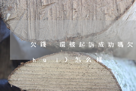 欠錢沒還被起訴成功嗎(欠款沒還被起訴會(huì)怎么樣)