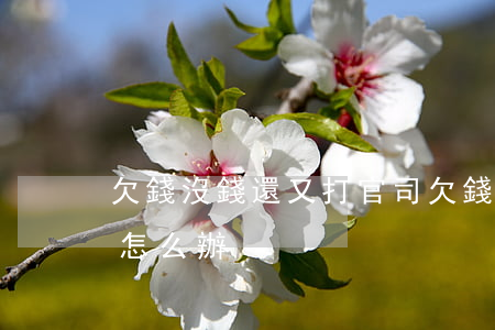 欠錢沒錢還又打官司 欠錢不還又沒錢打官司怎么辦