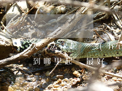 欠錢法律起訴會(huì)怎么樣(欠錢不還到哪里起訴最好)