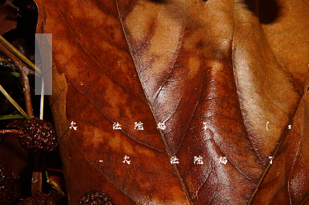 欠錢法院起訴了暫時(shí)沒錢還怎么辦-欠錢法院起訴了暫時(shí)沒錢還怎么辦呢