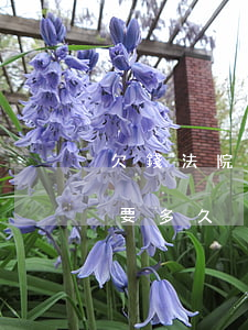 欠錢法院起訴了流程(欠錢法院起訴了流程需要多久)