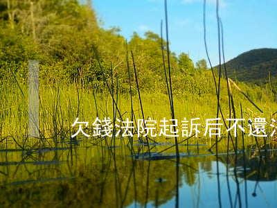 欠錢法院起訴后不還(法院起訴欠賬不還)