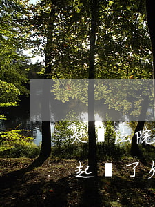 欠錢法院起訴后執(zhí)行不了怎么辦 起訴了欠款人被執(zhí)行仍不還款怎么辦
