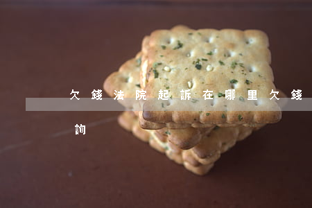 欠錢法院起訴在哪里(欠錢法院起訴在哪里查詢)