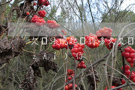 欠錢法院起訴得多久(欠錢法院起訴多久執(zhí)行)