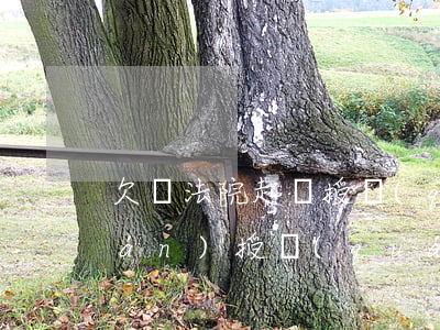 欠錢法院起訴授權(quán)保權(quán) 授權(quán)保全申請書