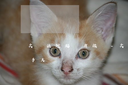 欠錢法院起訴有效嗎-欠錢法院起訴有效嗎多久
