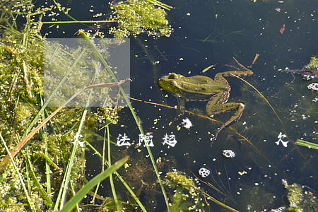 欠錢法院起訴沒錢還(欠錢法院起訴沒錢怎么辦)
