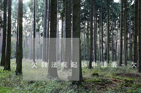 欠錢法院起訴申請表-欠款起訴申請書