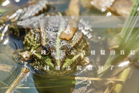 欠錢法院起訴被駁回(我起訴對(duì)方欠錢被法院駁回了)