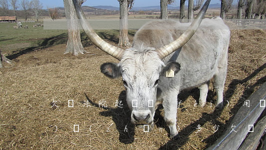 欠錢法院起訴費(fèi)用標(biāo)準(zhǔn)多少（欠錢法院起訴費(fèi)用標(biāo)準(zhǔn)）
