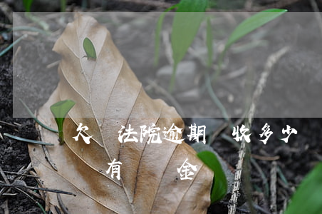 欠錢法院逾期會收多少滯納金-欠法院訴訟費有滯納金嗎