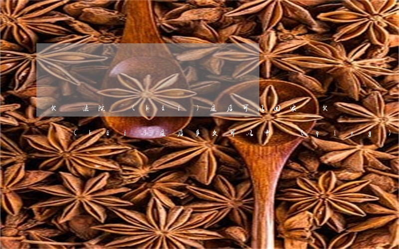 欠錢法院開(kāi)庭后可以回家嗎(欠錢開(kāi)庭后多久可以申請(qǐng)執(zhí)行)