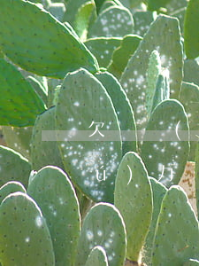欠錢無(wú)力償還有影響嗎(欠錢無(wú)力償還有影響嗎怎么辦)