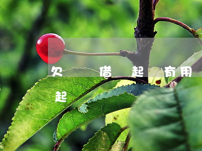 欠錢無借條起訴有用嗎(欠錢無欠條不還如何起訴)