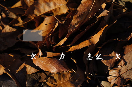 欠錢無力償還怎么辦(欠錢無力償還會判刑嗎)