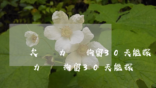 欠錢無力償還拘留30天能探視嗎-欠錢無力償還拘留30天能探視嗎怎么辦