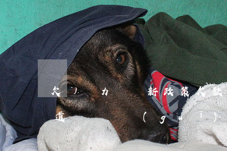 欠錢無力償還新政策(欠款無力償還,一定要知道這兩條規(guī)定)