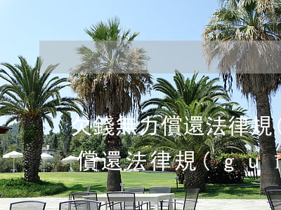 欠錢無力償還法律規(guī)定(欠錢無力償還法律規(guī)定有哪些)