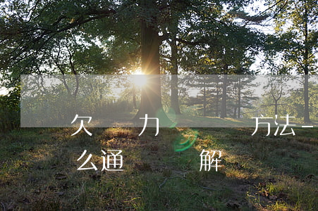 欠錢無力償還眾籌方法-本人欠了好多錢,怎么通過眾籌解決