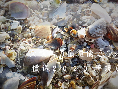 欠錢無力償還能協(xié)商嗎 欠錢無力償還2020新規(guī)定