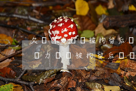 欠錢無力償還被拘留后還沒錢怎么辦-欠錢無力償還被拘留后還沒錢怎么辦呢