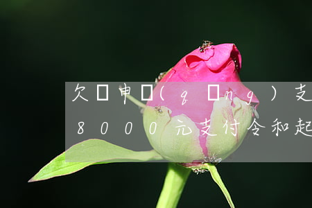 欠錢申請(qǐng)支付令還是起訴好(欠8000元支付令和起訴哪個(gè)好)