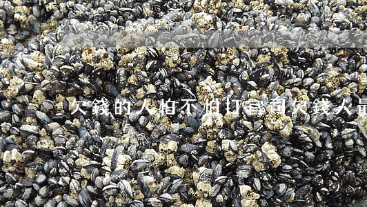欠錢的人怕不怕打官司(欠錢人最怕誰知道)