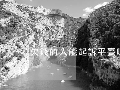 欠錢的人能起訴平臺嗎(欠錢的人可以起訴嗎)