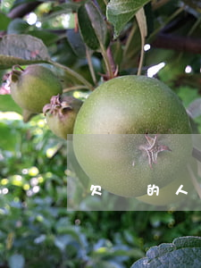 欠錢的人起訴可以還錢嗎
