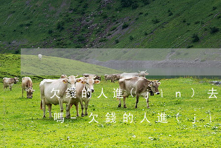 欠錢的人進(jìn)去了可以起訴收款人嗎-欠錢的人進(jìn)去了可以起訴收款人嗎怎么辦