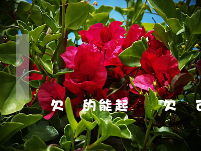 欠錢的能起訴嗎(欠錢可以起訴到法院嗎)