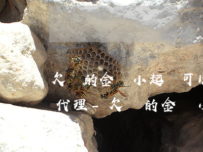 欠錢的金額小起訴可以請(qǐng)律師代理-欠錢的金額小起訴可以請(qǐng)律師代理嗎