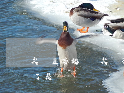 欠錢直接起訴嗎(欠錢不還直接去法院告就行了是嗎?)