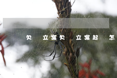 欠錢 立案（欠錢立案起訴怎么寫）